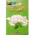 Табак Adalya Chewing Gum Mint (Адалия Жевательная резинка с мятой) 50г фото - 2 Табак Adalya Chewing Gum Mint (Адалия Жевательная резинка с мятой) 50г фото - 2